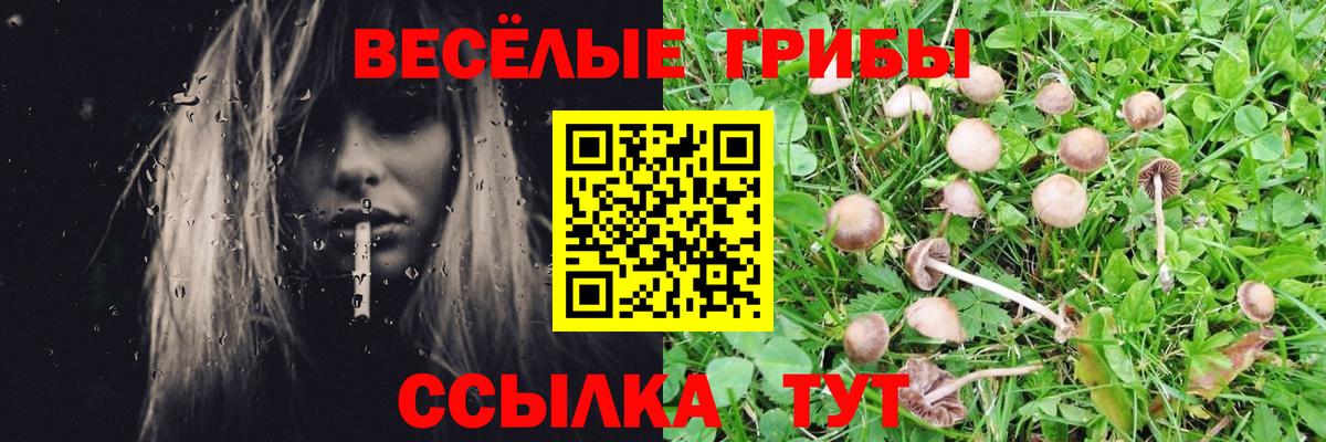Псилоцибиновые грибы прущие грибы  Вход с VPN  Керчь 